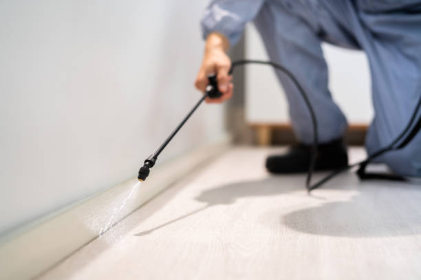 Certified termite inspector examining foundation in Carlisle