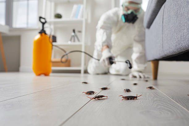 Commercial Kitchen Cockroach Control in Carlisle